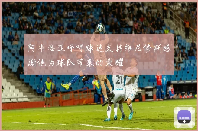 阿韦洛亚呼吁球迷支持维尼修斯感谢他为球队带来的荣耀